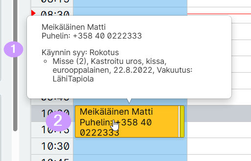calendar_slot_and_tooltip.jpg