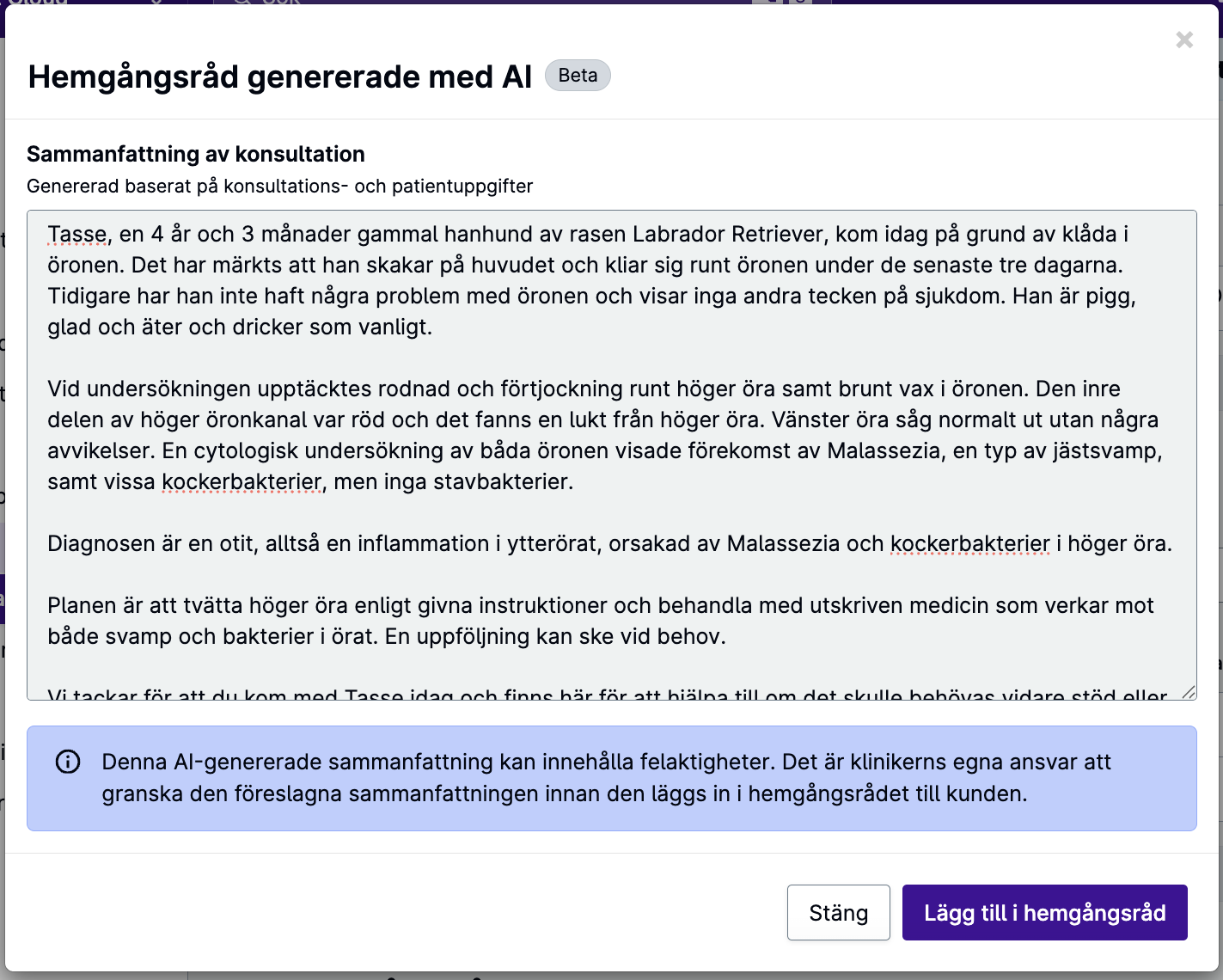 Ett exempel på en föreslagen AI-genererad sammanfattning