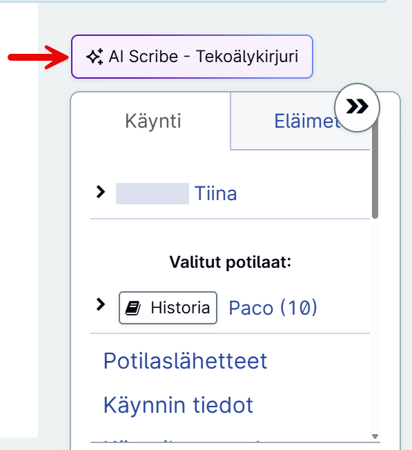 AIScribeButton.png