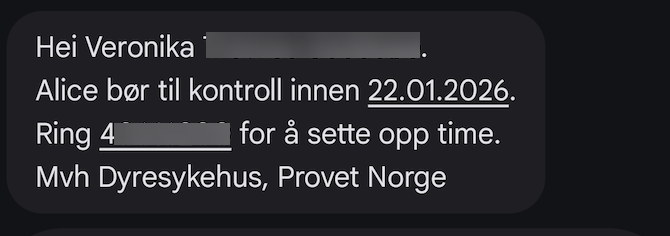 sms2.jpg